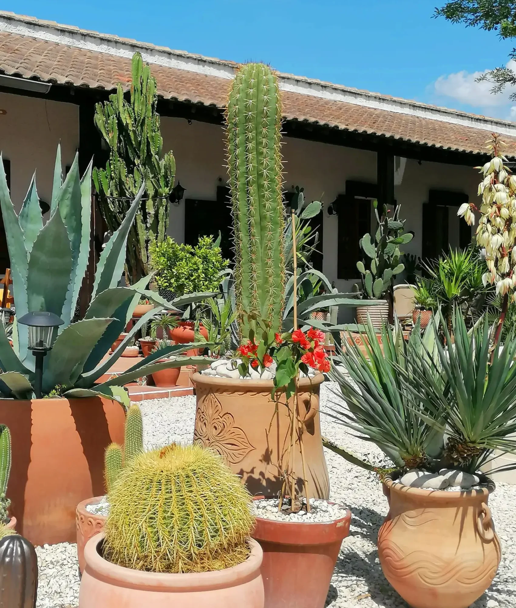 1717672945443